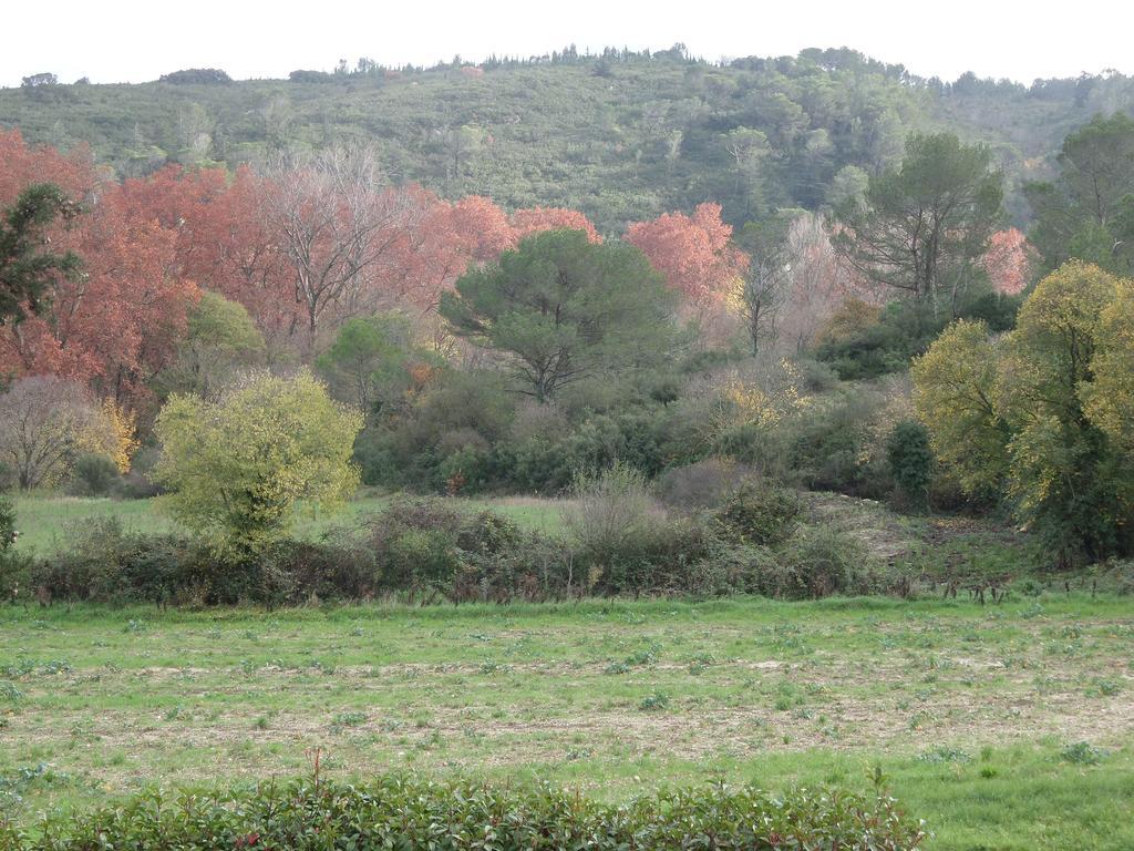 Appart'17-Domaine De La Source Uzes Bilik gambar